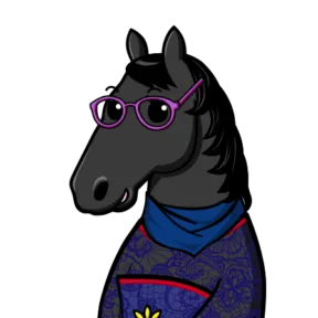 競走馬 スプリングゲイル プロフィール画像