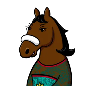競走馬 オレンジスカイの2016 プロフィール画像