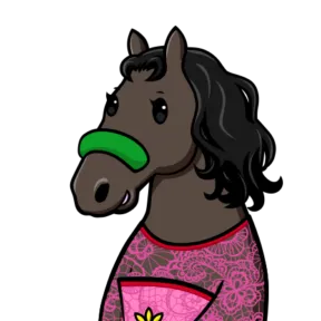 競走馬 サチノヒメ プロフィール画像